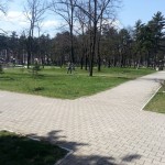 gradski park 1